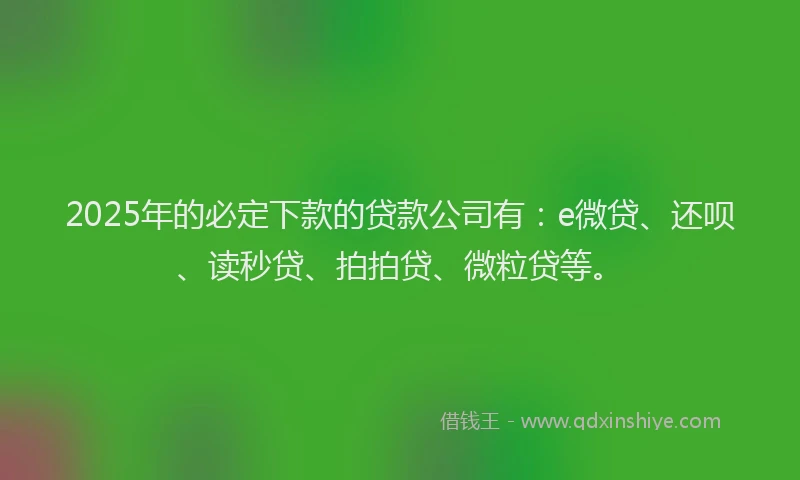 2025年的必定下款的贷款公司有：e微贷、还呗、读秒贷、拍拍贷、微粒贷等。