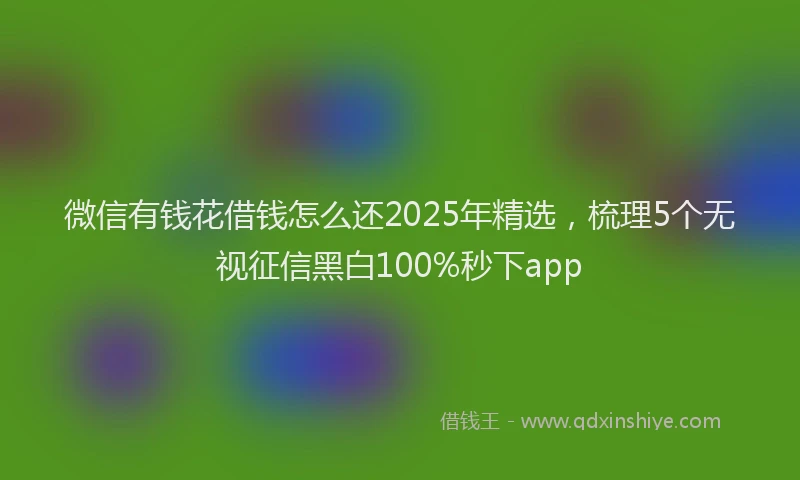 微信有钱花借钱怎么还2025年精选，梳理5个无视征信黑白100%秒下app