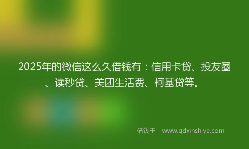 2025年的微信这么久借钱有：信用卡贷、投友圈、读秒贷、美团生活费、柯基贷等。