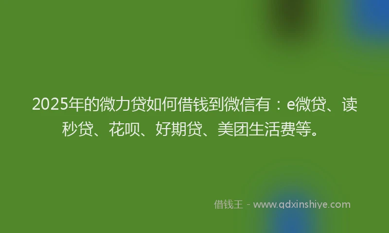 2025年的微力贷如何借钱到微信有：e微贷、读秒贷、花呗、好期贷、美团生活费等。