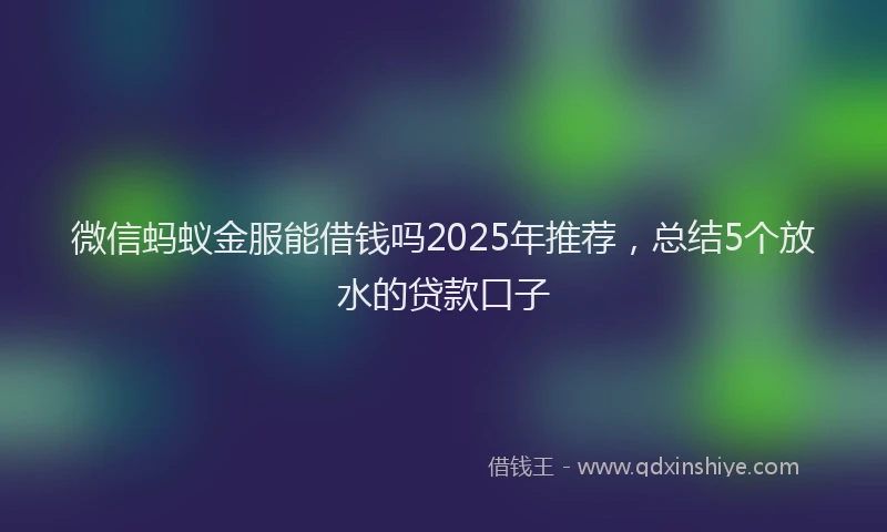 微信蚂蚁金服能借钱吗2025年推荐，总结5个放水的贷款口子