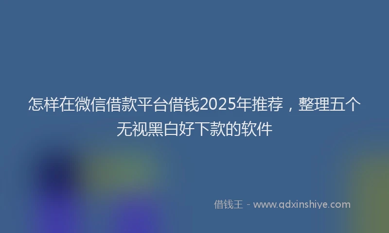 怎样在微信借款平台借钱2025年推荐，整理五个无视黑白好下款的软件
