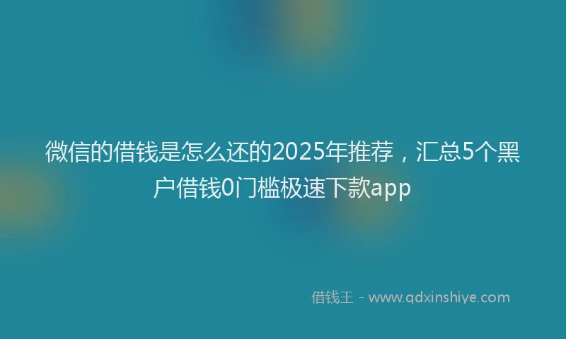 微信的借钱是怎么还的2025年推荐，汇总5个黑户借钱0门槛极速下款app