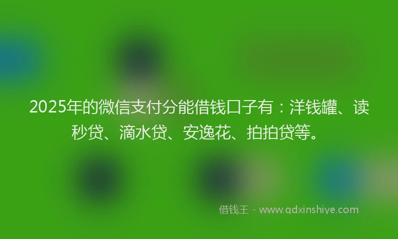 2025年的微信支付分能借钱口子有：洋钱罐、读秒贷、滴水贷、安逸花、拍拍贷等。