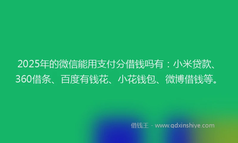 2025年的微信能用支付分借钱吗有：小米贷款、360借条、百度有钱花、小花钱包、微博借钱等。