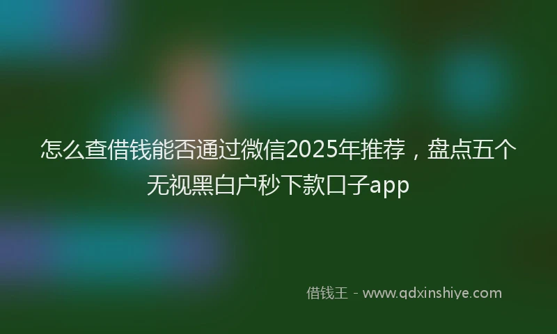 怎么查借钱能否通过微信2025年推荐，盘点五个无视黑白户秒下款口子app