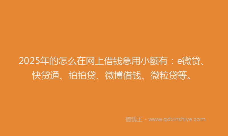 2025年的怎么在网上借钱急用小额有：e微贷、快贷通、拍拍贷、微博借钱、微粒贷等。
