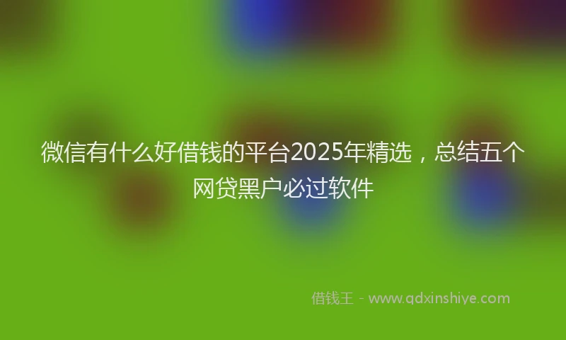 微信有什么好借钱的平台2025年精选，总结五个网贷黑户必过软件