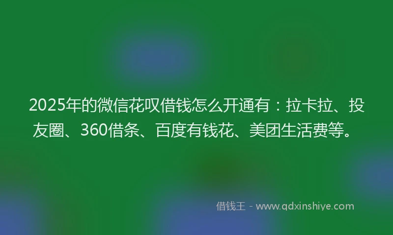 2025年的微信花叹借钱怎么开通有：拉卡拉、投友圈、360借条、百度有钱花、美团生活费等。