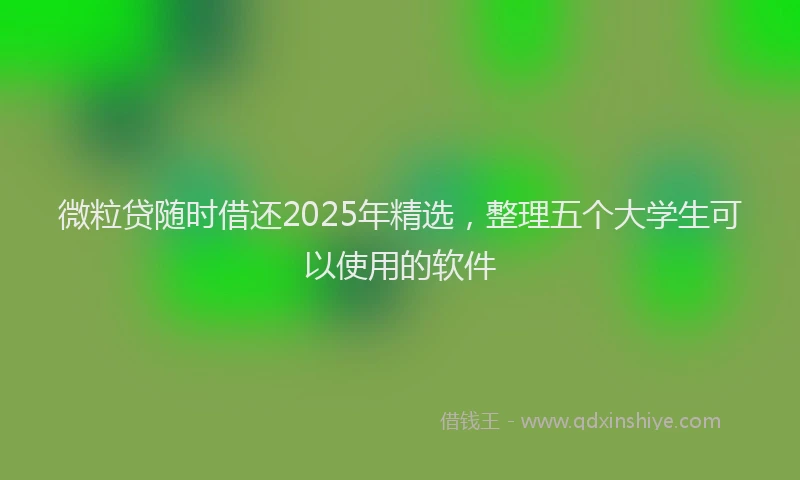 微粒贷随时借还2025年精选，整理五个大学生可以使用的软件
