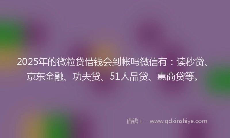 2025年的微粒贷借钱会到帐吗微信有：读秒贷、京东金融、功夫贷、51人品贷、惠商贷等。