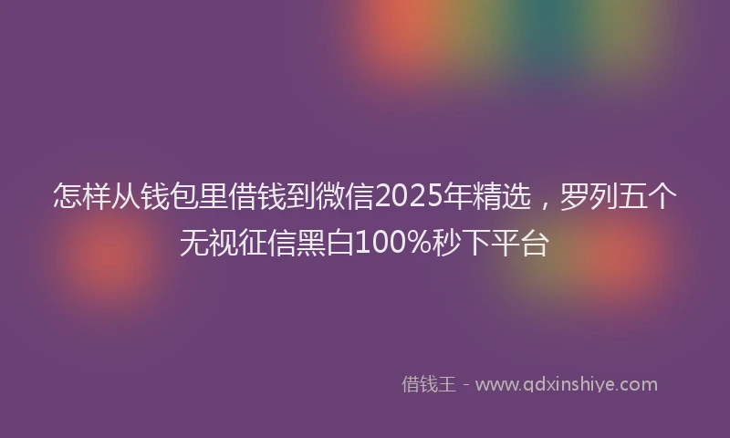 怎样从钱包里借钱到微信2025年精选，罗列五个无视征信黑白100%秒下平台