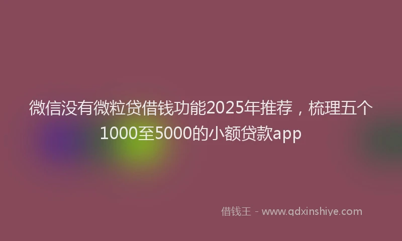 微信没有微粒贷借钱功能2025年推荐，梳理五个1000至5000的小额贷款app