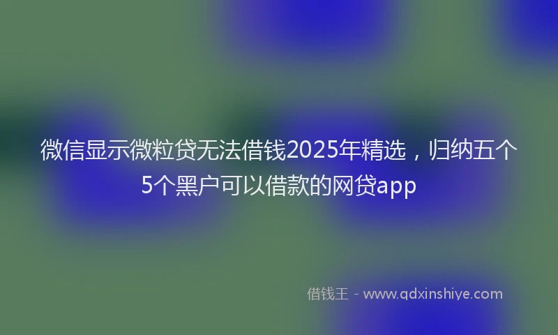 微信显示微粒贷无法借钱2025年精选，归纳五个5个黑户可以借款的网贷app