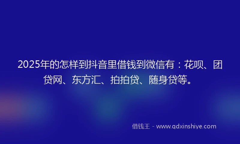 2025年的怎样到抖音里借钱到微信有：花呗、团贷网、东方汇、拍拍贷、随身贷等。
