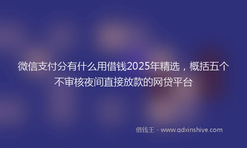 微信支付分有什么用借钱2025年精选，概括五个不审核夜间直接放款的网贷平台