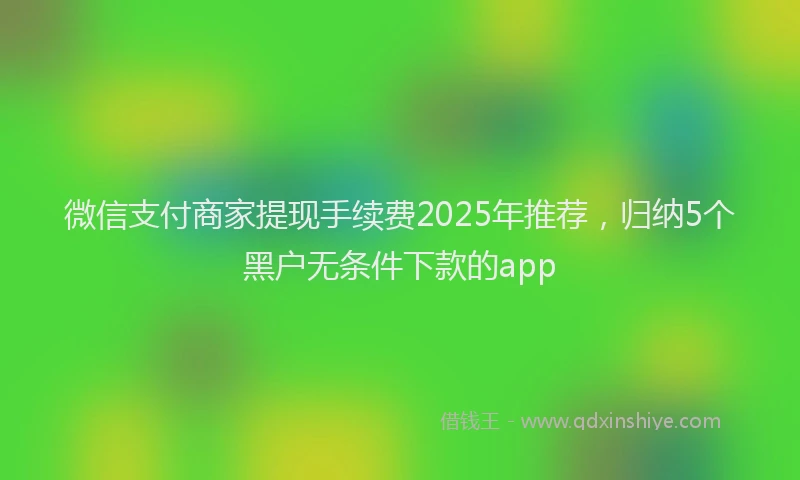 微信支付商家提现手续费2025年推荐，归纳5个黑户无条件下款的app