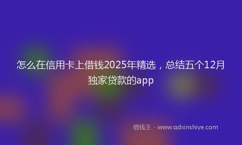 怎么在信用卡上借钱2025年精选，总结五个12月独家贷款的app
