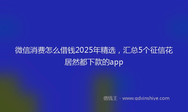 微信消费怎么借钱2025年精选，汇总5个征信花居然都下款的app