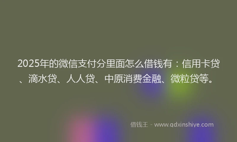 2025年的微信支付分里面怎么借钱有：信用卡贷、滴水贷、人人贷、中原消费金融、微粒贷等。