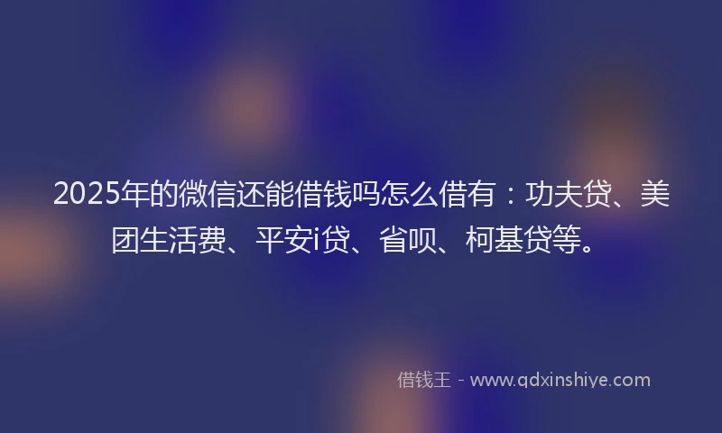 2025年的微信还能借钱吗怎么借有：功夫贷、美团生活费、平安i贷、省呗、柯基贷等。