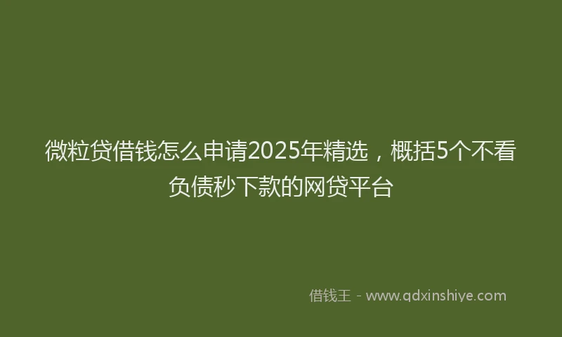 微粒贷借钱怎么申请2025年精选，概括5个不看负债秒下款的网贷平台