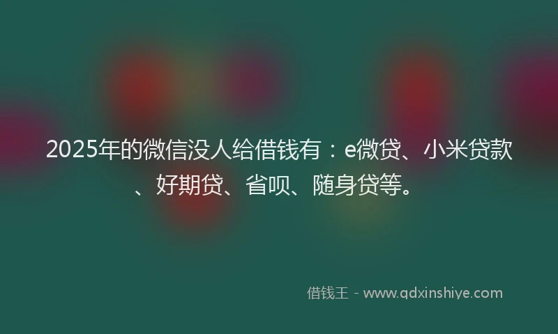 2025年的微信没人给借钱有：e微贷、小米贷款、好期贷、省呗、随身贷等。