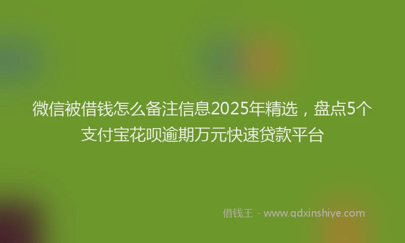 微信被借钱怎么备注信息2025年精选，盘点5个支付宝花呗逾期万元快速贷款平台