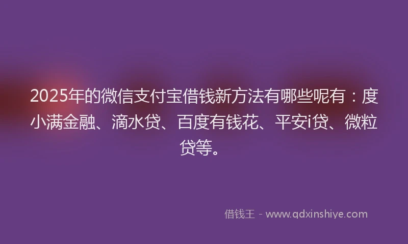 2025年的微信支付宝借钱新方法有哪些呢有：度小满金融、滴水贷、百度有钱花、平安i贷、微粒贷等。