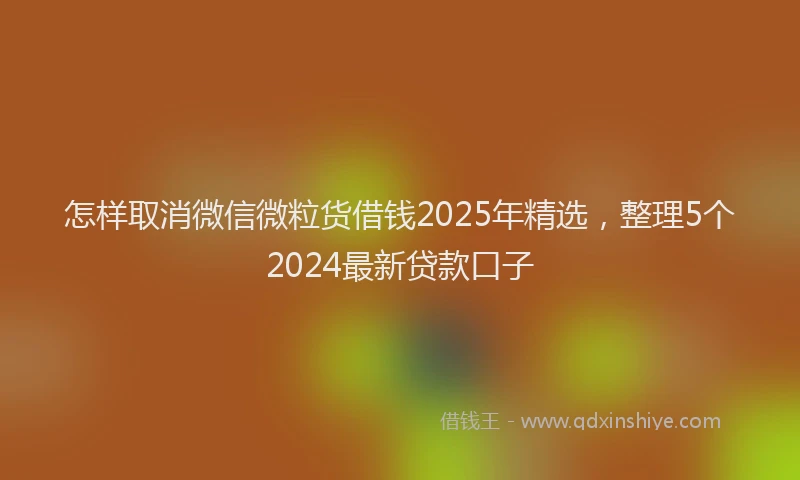 怎样取消微信微粒货借钱2025年精选，整理5个2024最新贷款口子