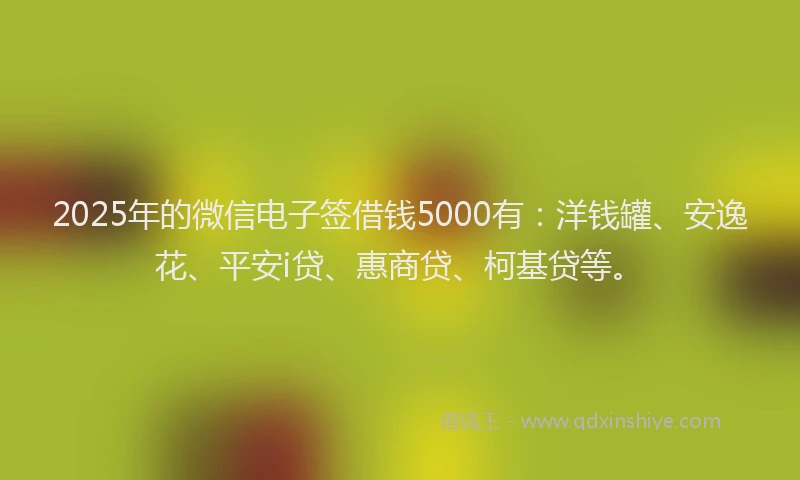 2025年的微信电子签借钱5000有：洋钱罐、安逸花、平安i贷、惠商贷、柯基贷等。