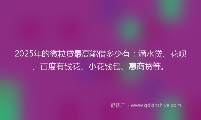 2025年的微粒贷最高能借多少有：滴水贷、花呗、百度有钱花、小花钱包、惠商贷等。