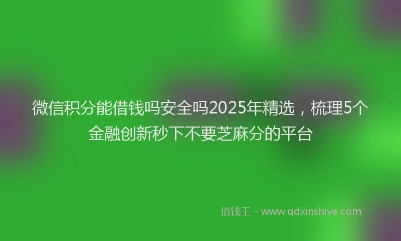 微信积分能借钱吗安全吗2025年精选，梳理5个金融创新秒下不要芝麻分的平台