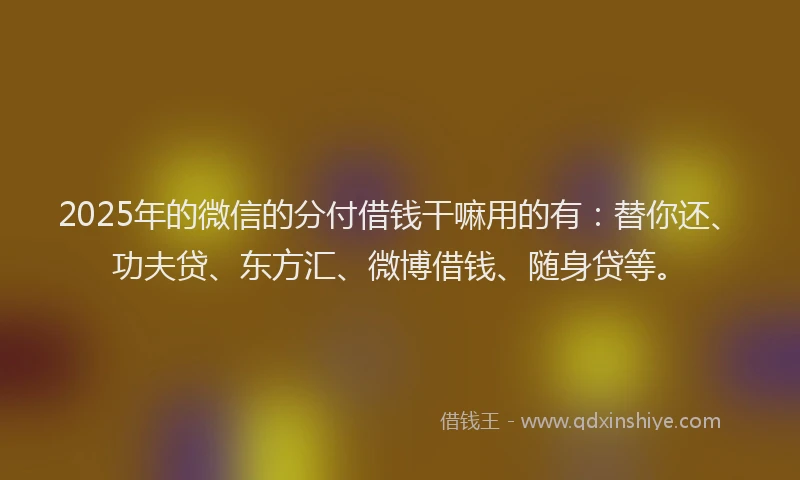 2025年的微信的分付借钱干嘛用的有：替你还、功夫贷、东方汇、微博借钱、随身贷等。