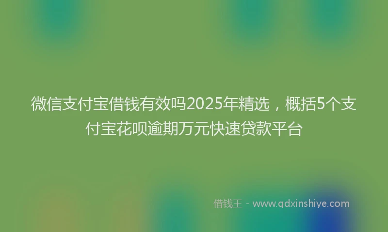 微信支付宝借钱有效吗2025年精选，概括5个支付宝花呗逾期万元快速贷款平台