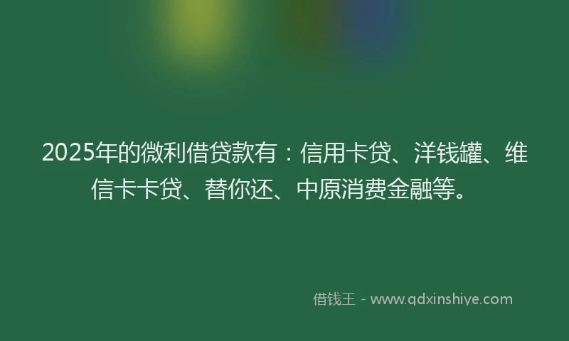 2025年的微利借贷款有：信用卡贷、洋钱罐、维信卡卡贷、替你还、中原消费金融等。