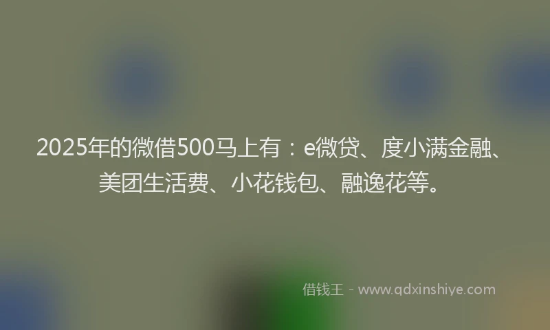 2025年的微借500马上有：e微贷、度小满金融、美团生活费、小花钱包、融逸花等。