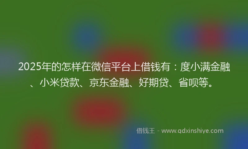2025年的怎样在微信平台上借钱有：度小满金融、小米贷款、京东金融、好期贷、省呗等。