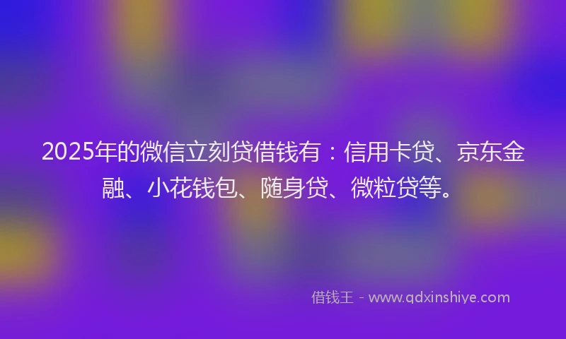 2025年的微信立刻贷借钱有：信用卡贷、京东金融、小花钱包、随身贷、微粒贷等。