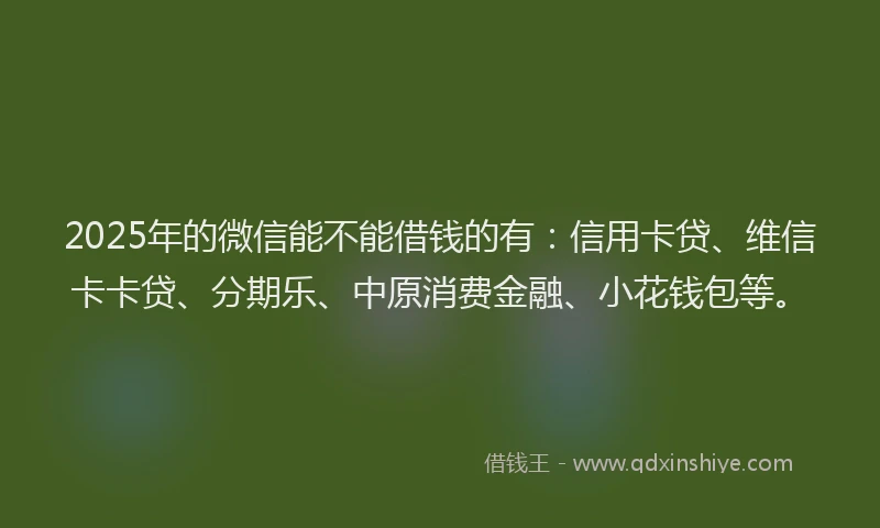 2025年的微信能不能借钱的有：信用卡贷、维信卡卡贷、分期乐、中原消费金融、小花钱包等。