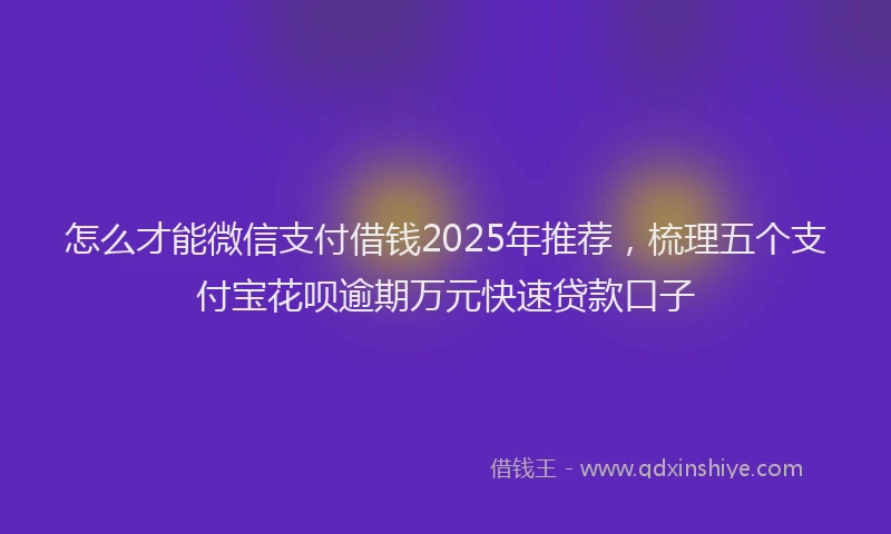 怎么才能微信支付借钱2025年推荐，梳理五个支付宝花呗逾期万元快速贷款口子