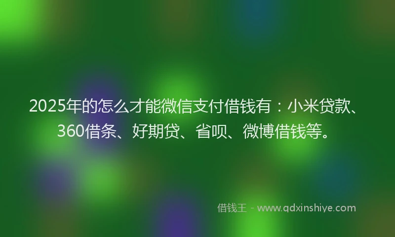 2025年的怎么才能微信支付借钱有：小米贷款、360借条、好期贷、省呗、微博借钱等。