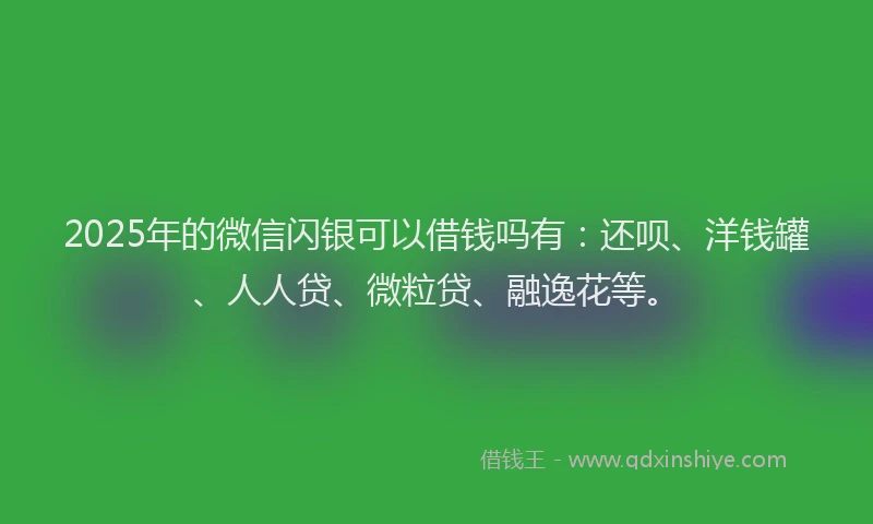 2025年的微信闪银可以借钱吗有：还呗、洋钱罐、人人贷、微粒贷、融逸花等。