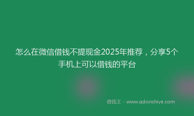 怎么在微信借钱不提现金2025年推荐，分享5个手机上可以借钱的平台