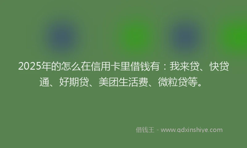2025年的怎么在信用卡里借钱有：我来贷、快贷通、好期贷、美团生活费、微粒贷等。