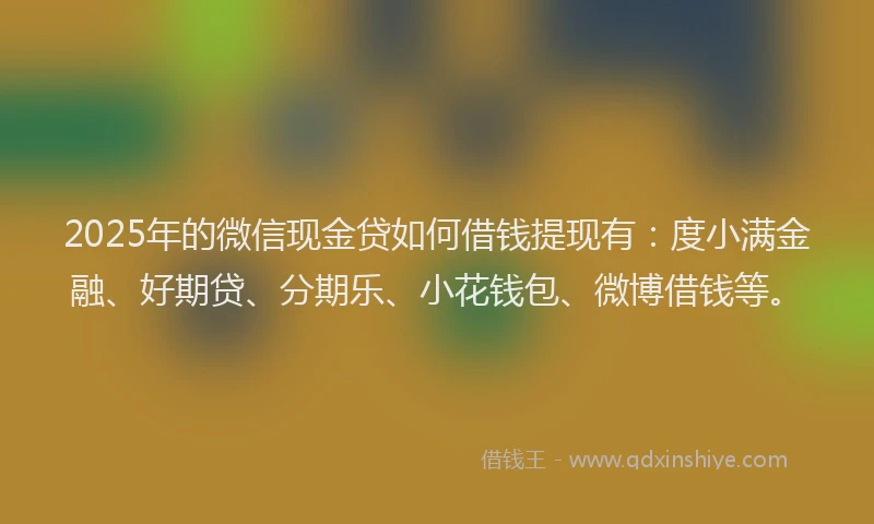 2025年的微信现金贷如何借钱提现有：度小满金融、好期贷、分期乐、小花钱包、微博借钱等。