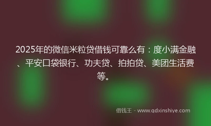2025年的微信米粒贷借钱可靠么有：度小满金融、平安口袋银行、功夫贷、拍拍贷、美团生活费等。