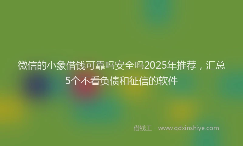 微信的小象借钱可靠吗安全吗2025年推荐，汇总5个不看负债和征信的软件