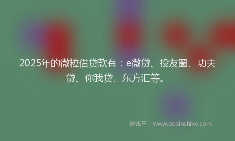2025年的微粒借贷款有：e微贷、投友圈、功夫贷、你我贷、东方汇等。