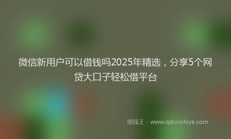 微信新用户可以借钱吗2025年精选，分享5个网贷大口子轻松借平台